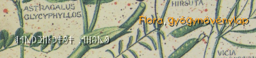 Flora, gyógynövény lap
